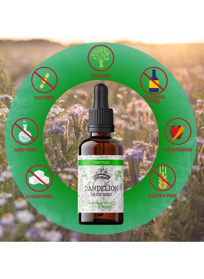 FLORIDA HERBS صبغة جذر الهندباء مستخلص الهندباء العضوي (Taraxacum Officinale) مكمل صحي، غير معدّل وراثيًا في جليسرين نباتي عضوي مضغوط على البارد 2 أونصة، 685 ملغ - Image 5